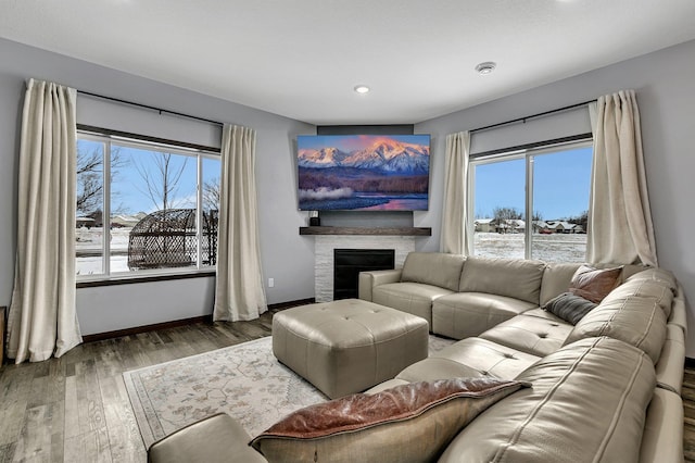 living room with hardwood / wood-style flooring and a healthy amount of sunlight