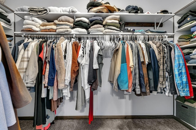 walk in closet featuring carpet floors