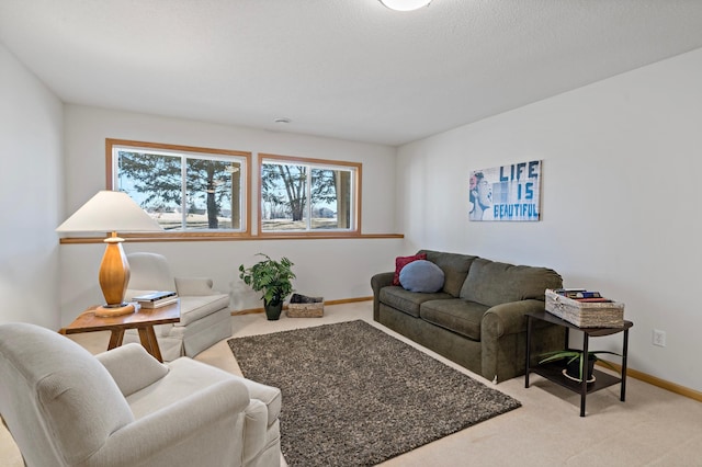 living room featuring light colored carpet