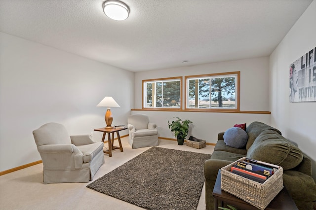 carpeted living room with a textured ceiling