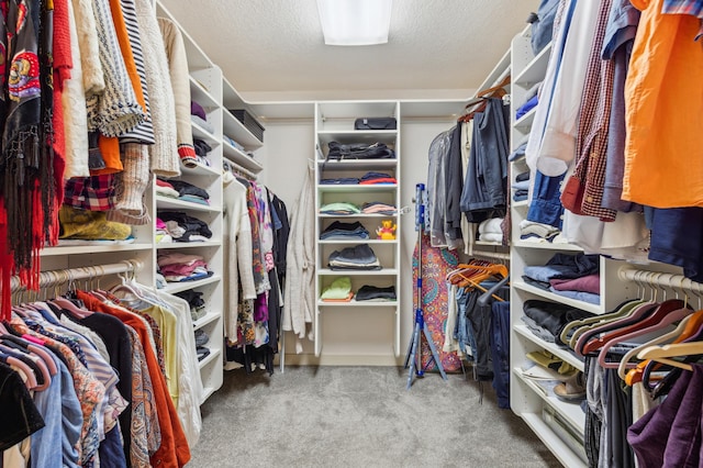 7720 Shaughnessy Rd, Edina, MN 55439 - spacious closet with carpet