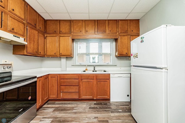 kitchen with sink, white appliances, wood-type flooring, and a paneled ceiling