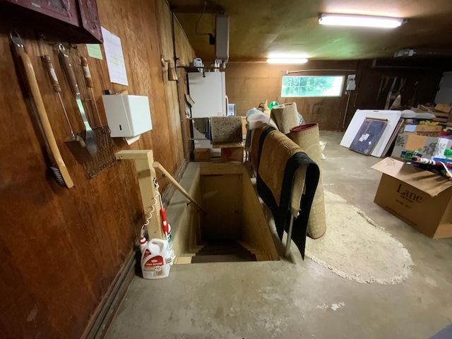 basement with wood walls