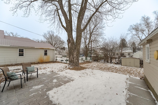 view of yard featuring a patio area and a storage unit