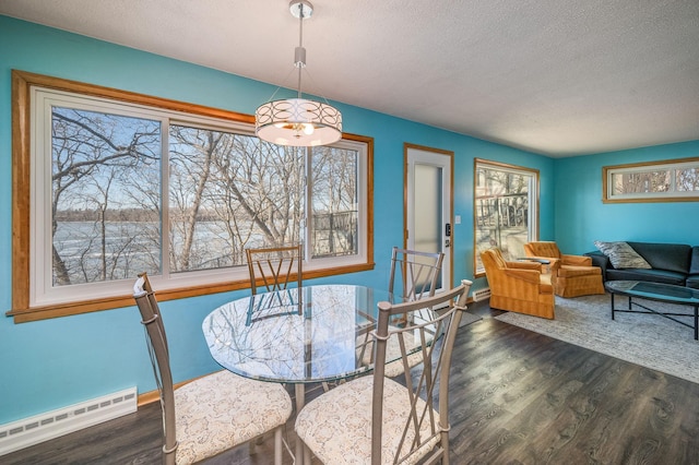 dining area with a baseboard radiator, a wealth of natural light, and dark hardwood / wood-style flooring