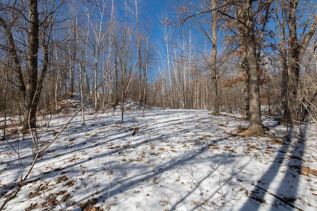 LOT12 133rd St, Amery WI, 54001 land for sale