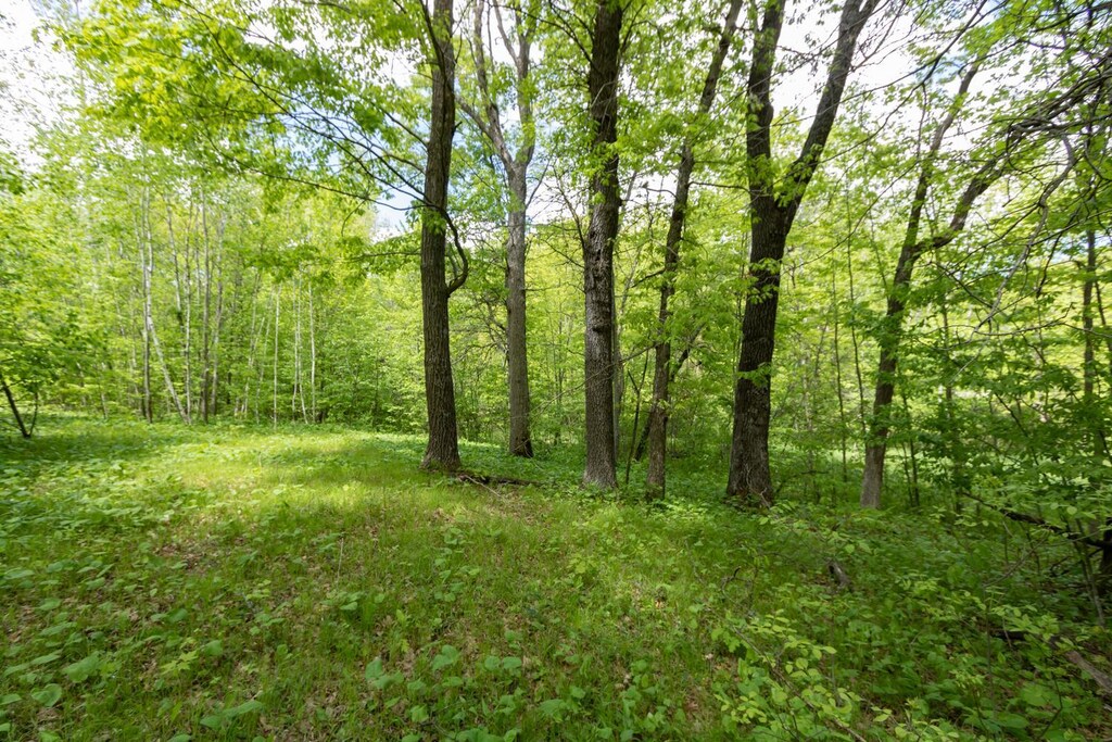 LOT12 133rd St, Amery, WI 54001