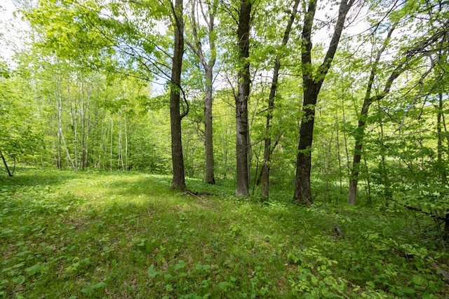 LOT12 133rd St, Amery, WI 54001