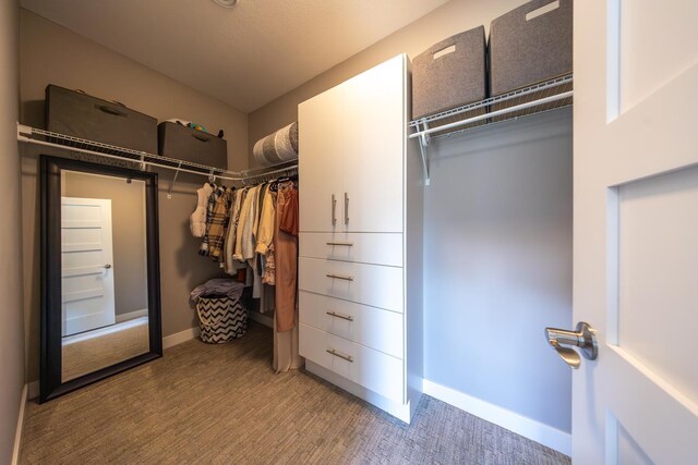 spacious closet featuring wood-type flooring