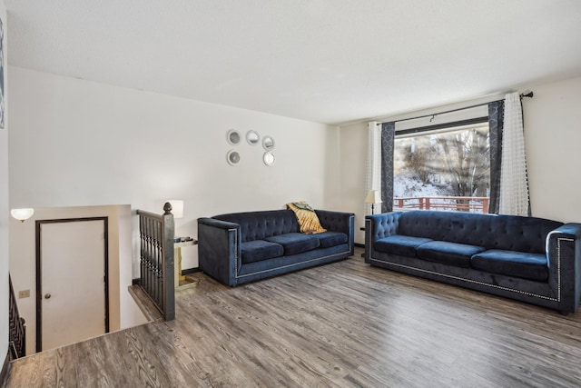 living room with hardwood / wood-style flooring