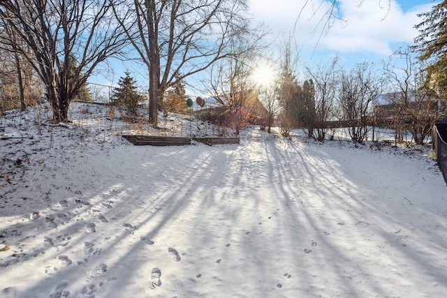 view of yard layered in snow