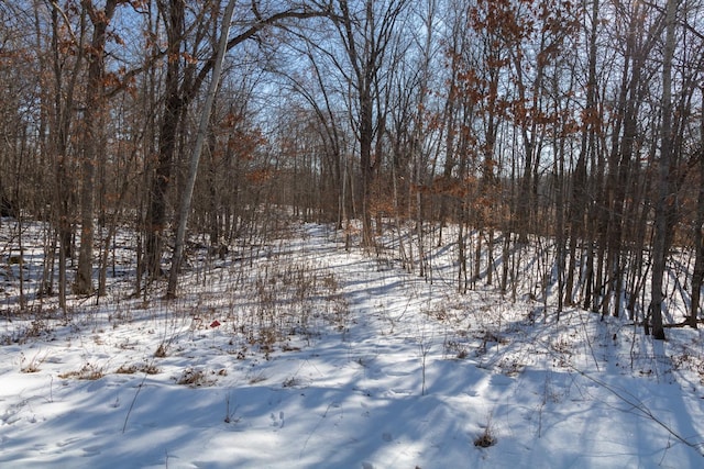 LOT13 133rd St, Amery WI, 54001 land for sale