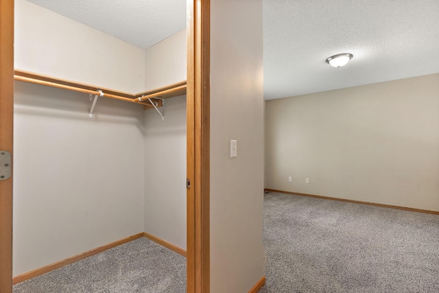 walk in closet featuring carpet