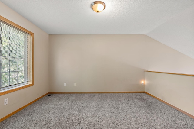 additional living space featuring lofted ceiling, carpet flooring, and a textured ceiling