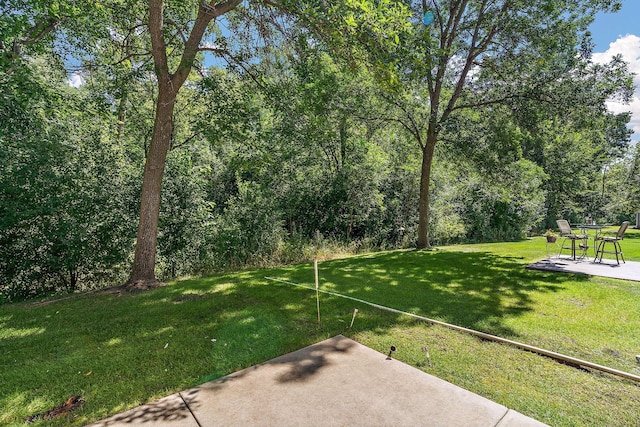 view of yard featuring a patio area