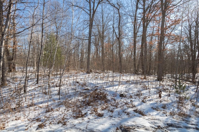 LOT14 133rd St, Amery WI, 54001 land for sale