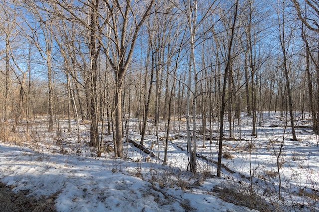 Listing photo 2 for LOT14 133rd St, Amery WI 54001