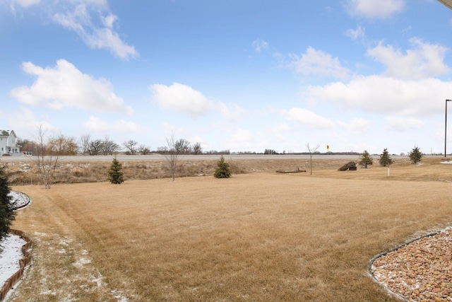 view of yard with a rural view