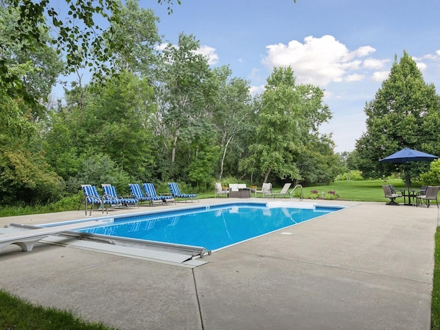 pool with a yard, a patio, and a diving board