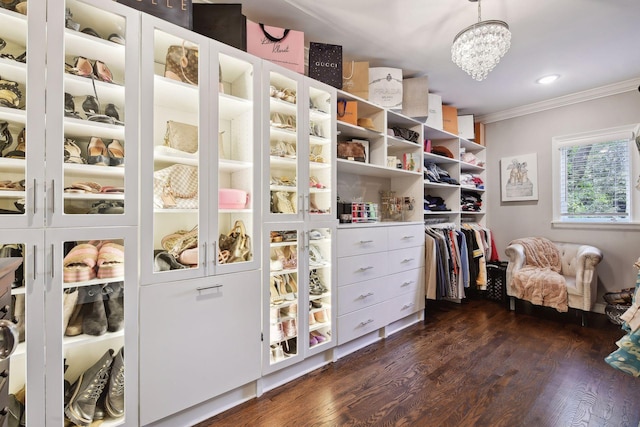 walk in closet with dark hardwood / wood-style flooring and a notable chandelier