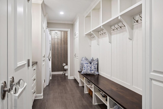 mudroom featuring crown molding and dark hardwood / wood-style flooring