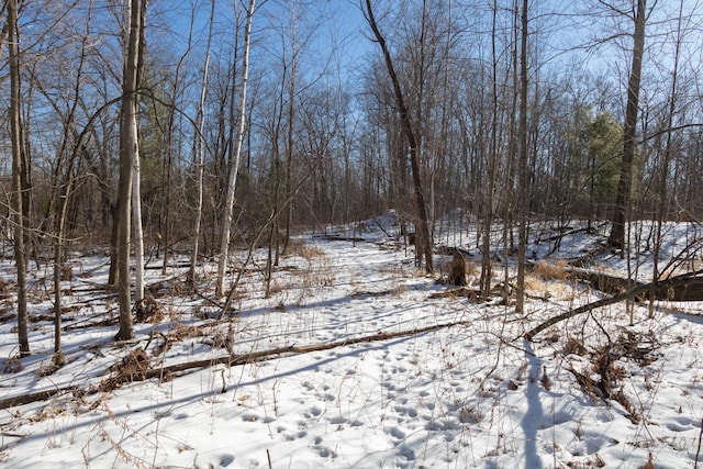 LOT15 133rd St, Amery WI, 54001 land for sale