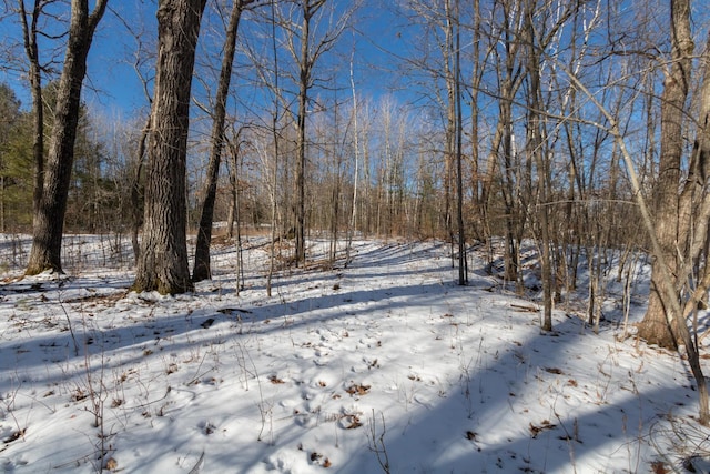 Listing photo 2 for LOT15 133rd St, Amery WI 54001