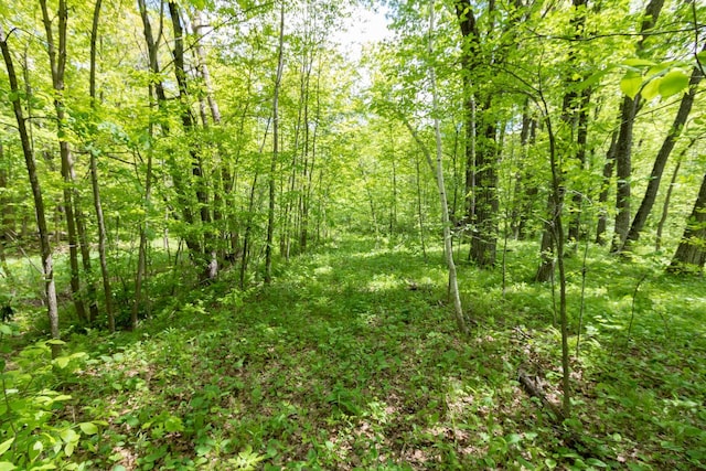 LOT15 133rd St, Amery, WI 54001