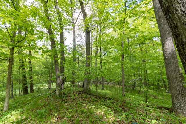 LOT15 133rd St, Amery, WI 54001