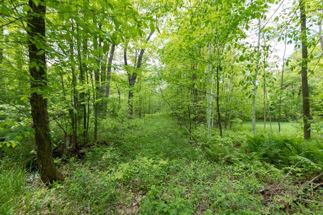LOT15 133rd St, Amery, WI 54001
