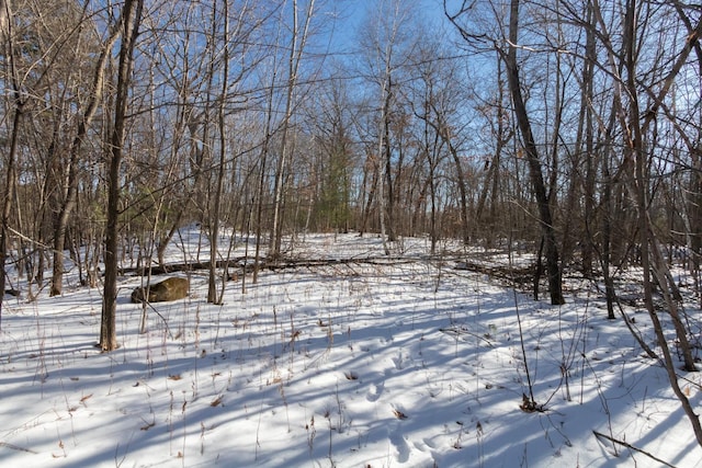 LOT17 133rd St, Amery WI, 54001 land for sale