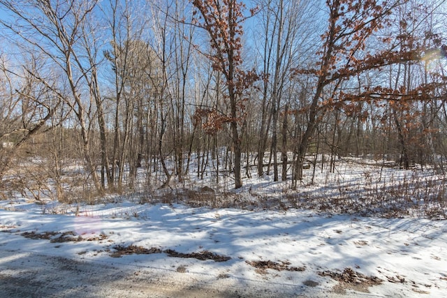 Listing photo 2 for LOT17 133rd St, Amery WI 54001