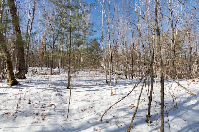 Listing photo 3 for LOT17 133rd St, Amery WI 54001