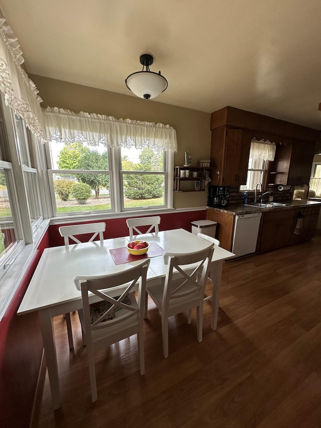 dining room featuring a healthy amount of sunlight, sink, and dark hardwood / wood-style floors