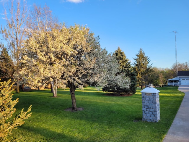 view of community featuring a lawn