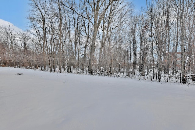 view of yard layered in snow