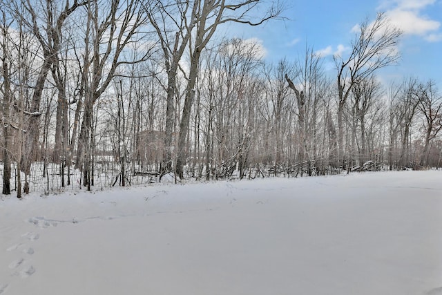 view of snowy yard