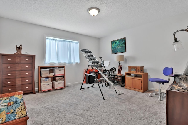 office featuring light colored carpet and a textured ceiling