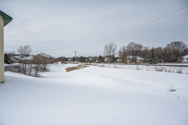 view of yard covered in snow