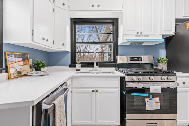 kitchen with white cabinetry, appliances with stainless steel finishes, and sink