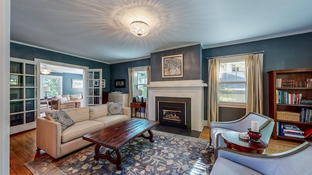 living room with ornamental molding and dark hardwood / wood-style floors