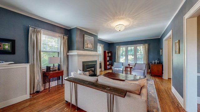 living room with crown molding, hardwood / wood-style flooring, and a wealth of natural light