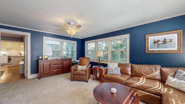 carpeted living room with crown molding, ceiling fan, and a wealth of natural light