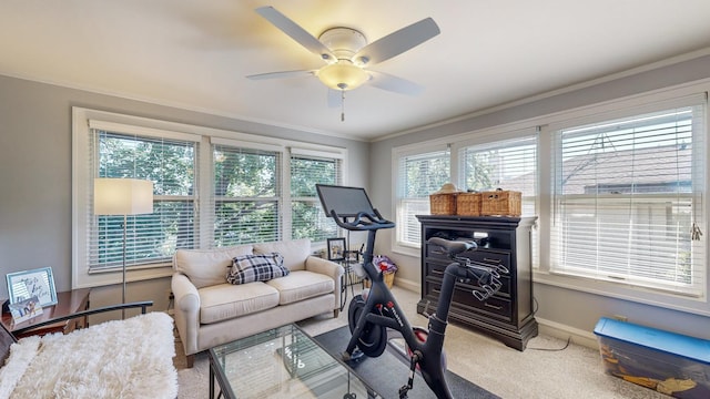 exercise room with ornamental molding, carpet flooring, and ceiling fan