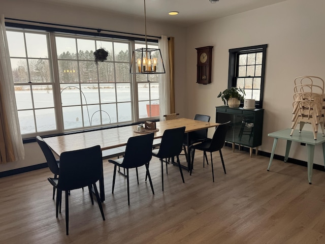 dining room featuring hardwood / wood-style flooring and a wealth of natural light