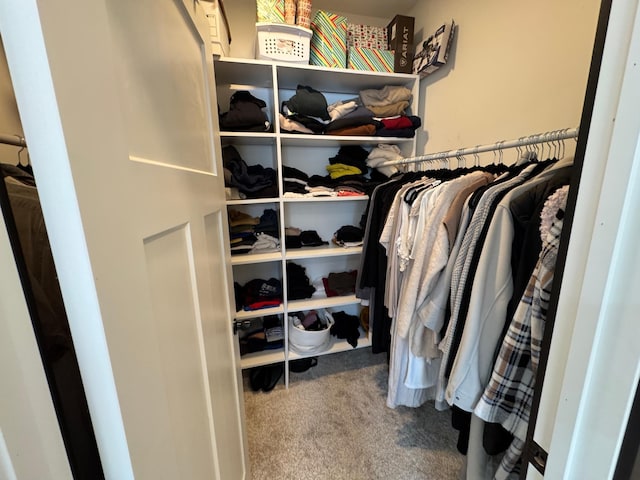 spacious closet with carpet