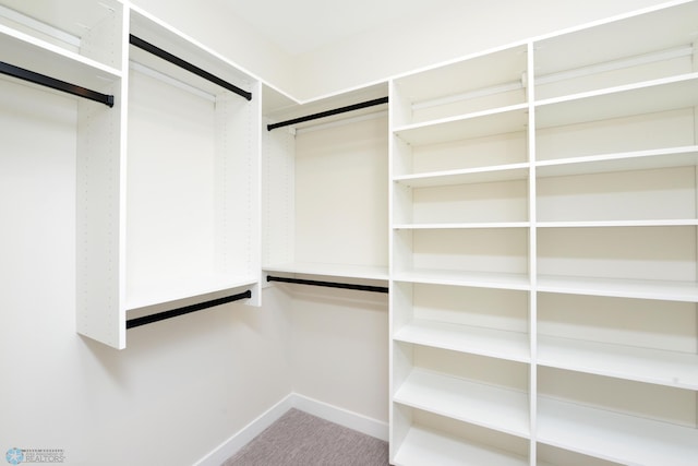spacious closet featuring carpet flooring