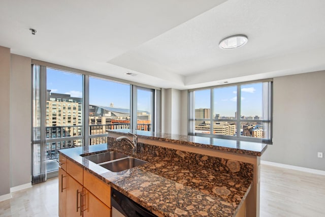 kitchen with light wood-type flooring, a sink, a kitchen island with sink, and a city view