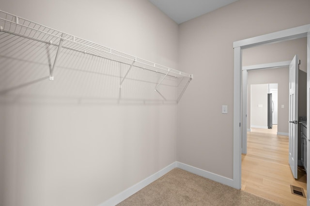 spacious closet featuring carpet floors