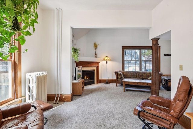 living area featuring baseboards, radiator heating unit, carpet flooring, and a glass covered fireplace